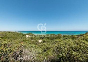 Foto 17 - Terreno agricolo Contrada Colombo
snc, Carovigno - foto 17