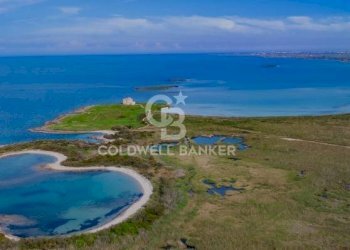 Foto 19 - Terreno agricolo Contrada Colombo
snc, Carovigno - foto 19