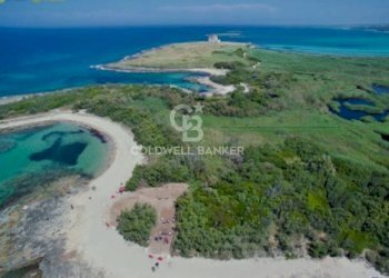 Foto 20 - Terreno agricolo Contrada Colombo
snc, Carovigno - foto 20