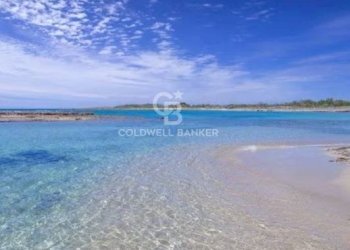 Foto 21 - Terreno agricolo Contrada Colombo
snc, Carovigno - foto 21