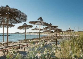 Foto 22 - Terreno agricolo Contrada Colombo
snc, Carovigno - foto 22