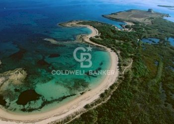 Foto 24 - Terreno agricolo Contrada Colombo
snc, Carovigno - foto 24