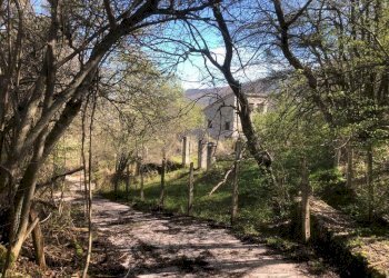 Foto 28 - Casa indipendente Fraz. Poggio D'Api, Accumoli - foto 24