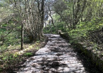 Foto 29 - Casa indipendente Fraz. Poggio D'Api, Accumoli - foto 25