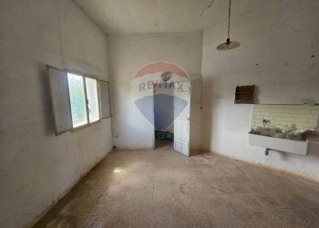 Stanza vuota - Agricultural land Contrada Cantrapa Salinola
 
snc, Ostuni - photo 5