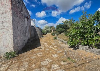 Vista delle montagne - Agricultural land Contrada Cantrapa Salinola
 
snc, Ostuni - photo 14
