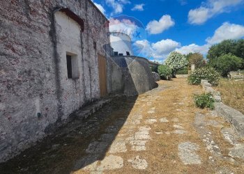 Terrazza - Agricultural land Contrada Cantrapa Salinola
 
snc, Ostuni - photo 15