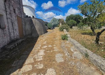 Vista delle montagne - Agricultural land Contrada Cantrapa Salinola
 
snc, Ostuni - photo 16