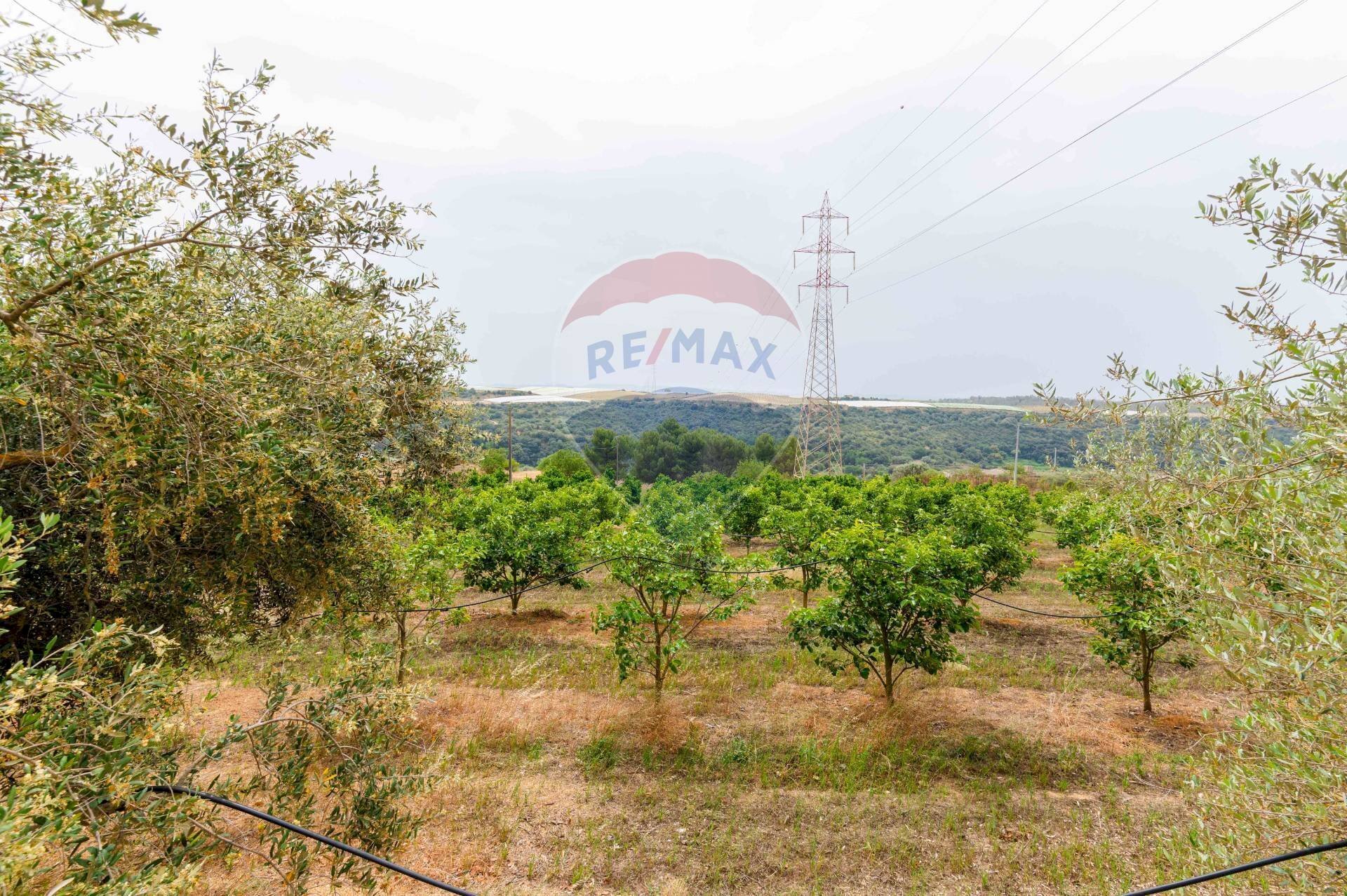 Giardino - Agricultural land cda bongiovanni sp 34, Caltagirone - photo 2