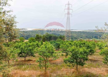 Giardino - Terreno agricolo cda bongiovanni sp 34, Caltagirone - foto 1