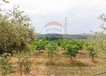 Giardino - Terreno agricolo cda bongiovanni sp 34, Caltagirone - foto 2