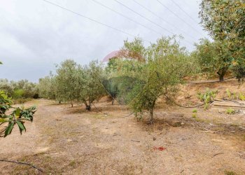 Giardino - Terreno agricolo cda bongiovanni sp 34, Caltagirone - foto 5