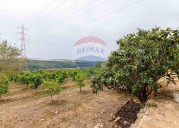 Giardino - Terreno agricolo cda bongiovanni sp 34, Caltagirone - foto 6