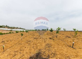 Vista delle montagne - Terreno agricolo cda bongiovanni sp 34, Caltagirone - foto 14
