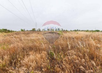 Non correlato - Terreno agricolo cda bongiovanni sp 34, Caltagirone - foto 15