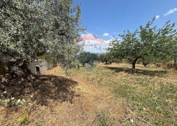 Giardino - Casa semi indipendente cda ladroni
 
sn, Caltanissetta - foto 5