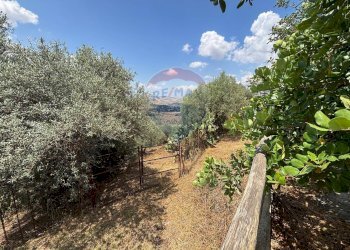 Giardino - Casa semi indipendente cda ladroni
 
sn, Caltanissetta - foto 7