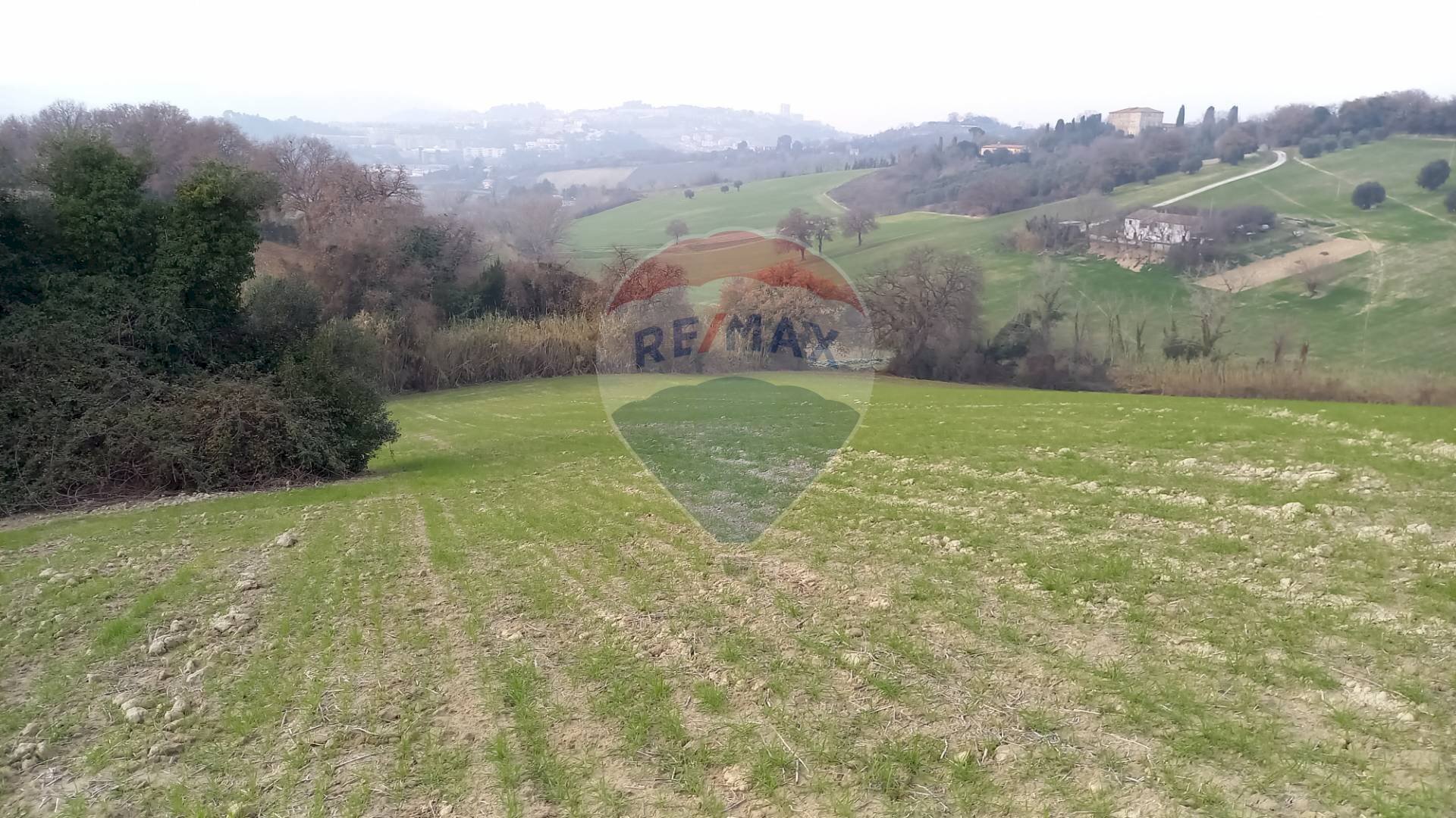 Vista delle montagne - Agricultural land Ancona - photo 1