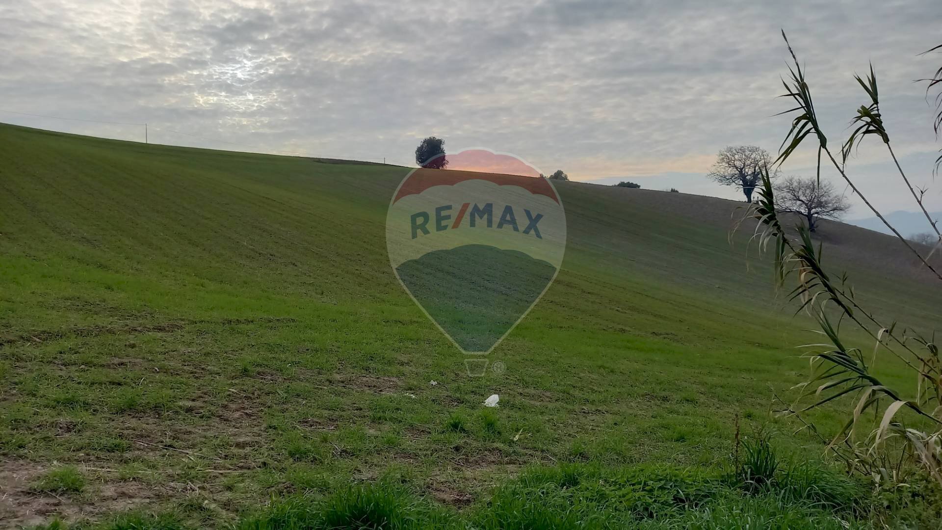 Vista delle montagne - Agricultural land Ancona - photo 3