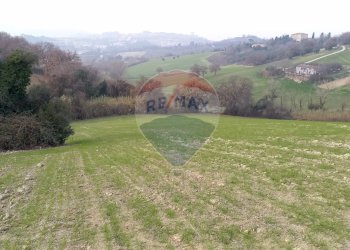 Vista delle montagne - Terreno agricolo Ancona - foto 1
