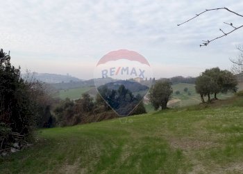 Giardino - Terreno agricolo Ancona - foto 2