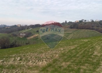 Vista delle montagne - Terreno agricolo Ancona - foto 4