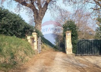 Giardino - Terreno agricolo Ancona - foto 5