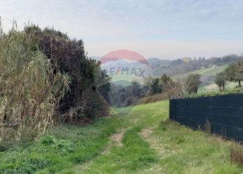 Giardino - Terreno agricolo Ancona - foto 6