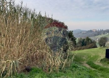 Vista delle montagne - Terreno agricolo Ancona - foto 7