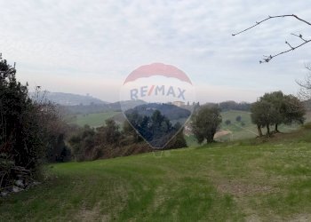 Giardino - Terreno agricolo Ancona - foto 8