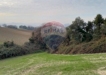 Giardino - Terreno agricolo Ancona - foto 9
