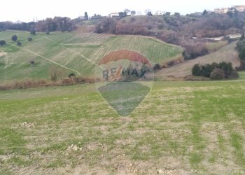 Vista delle montagne - Terreno agricolo Ancona - foto 12