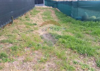 Giardino - Terreno agricolo Ancona - foto 13