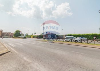 Edificio all\'aperto - Bar Tavola Calda - Fredda via bardiniana
 
33, Grotte di Castro - foto 3