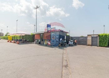 Edificio all\'aperto - Bar Tavola Calda - Fredda via bardiniana
 
33, Grotte di Castro - foto 4