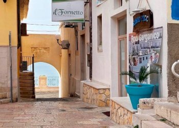 Foto 4 - Quadrilocale Via Imbriani
 
2, Rodi Garganico - foto 4