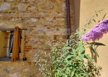 Foto 1 - Casa indipendente Pietrasanta - foto 1