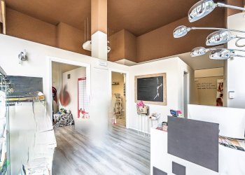 Foto 4 - Shop Piazza Guala
 
153, Torino - photo 4