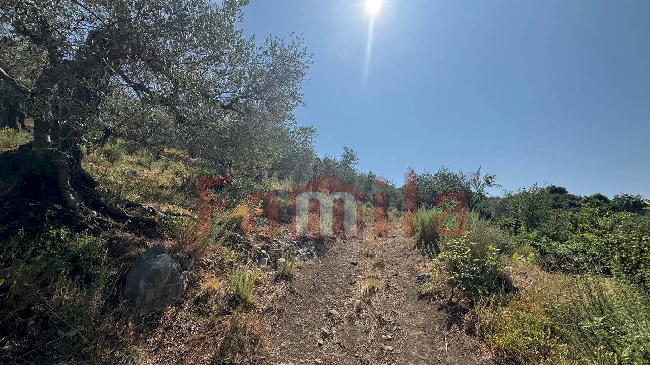 Foto 1 - Agricultural land Avella - photo 1