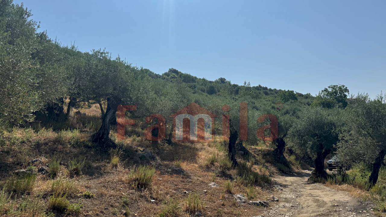 Foto 3 - Agricultural land Avella - photo 3