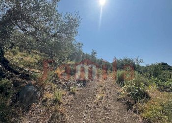 Foto 1 - Terreno agricolo Avella - foto 1