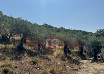 Foto 3 - Terreno agricolo Avella - foto 3