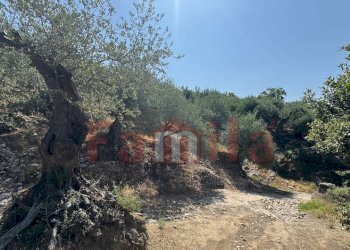 Foto 4 - Terreno agricolo Avella - foto 4