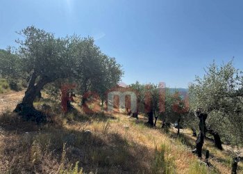 Foto 7 - Terreno agricolo Avella - foto 7