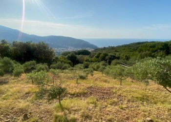 Foto 4 - Terreno edificabile Marciana - foto 4