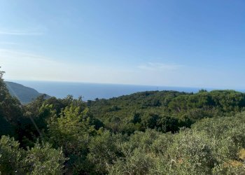 Foto 6 - Terreno edificabile Marciana - foto 6