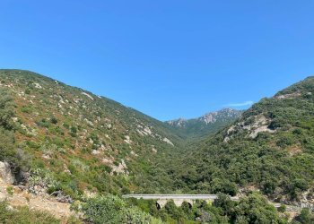 Foto 8 - Terreno edificabile Marciana - foto 8