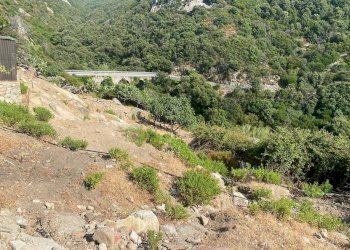 Foto 9 - Terreno edificabile Marciana - foto 9