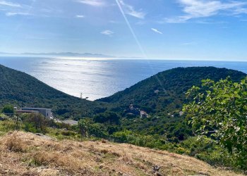 Foto 11 - Terreno edificabile Marciana - foto 11