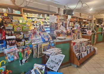 Foto 6 - Attività Commerciale via De Micheli
 
37, Covo - foto 6